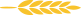 Espiga de trigo